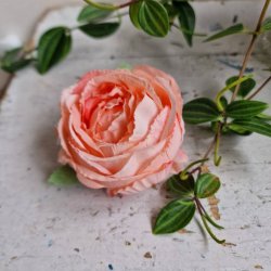 Rosa/fersken hjt rosenhoved blomster pynt S