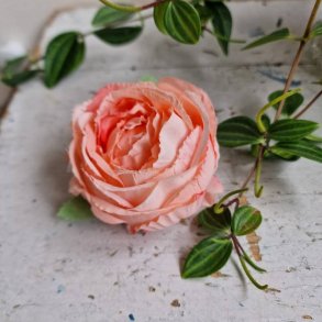 Rosa/fersken hjt rosenhoved blomster pynt S