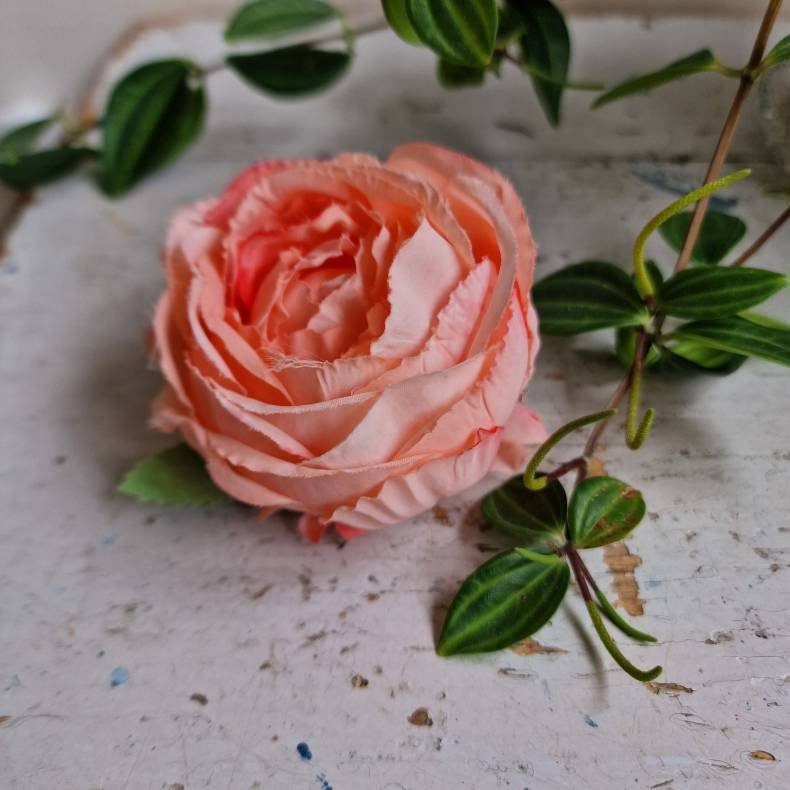 Rosa/fersken hjt rosenhoved blomster pynt S