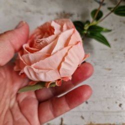 Rosa/fersken hjt rosenhoved blomster pynt S