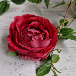 Mrkerd hjt rosenhoved blomster pynt S