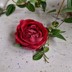 Mrkerd hjt rosenhoved blomster pynt S