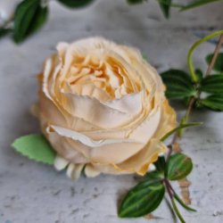 Flde/fersken farvet hjt rosenhoved blomster pynt S