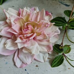 Rosa/hvid georgine blomster pynt S