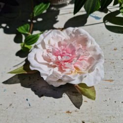 Hvid/pink pon blomster clips M