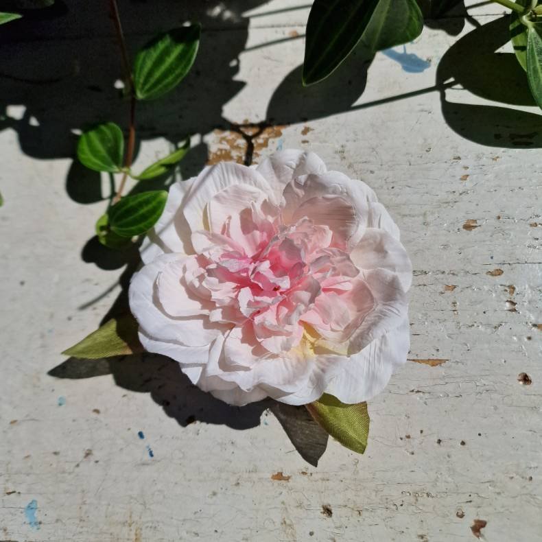 Hvid/pink pon blomster clips M