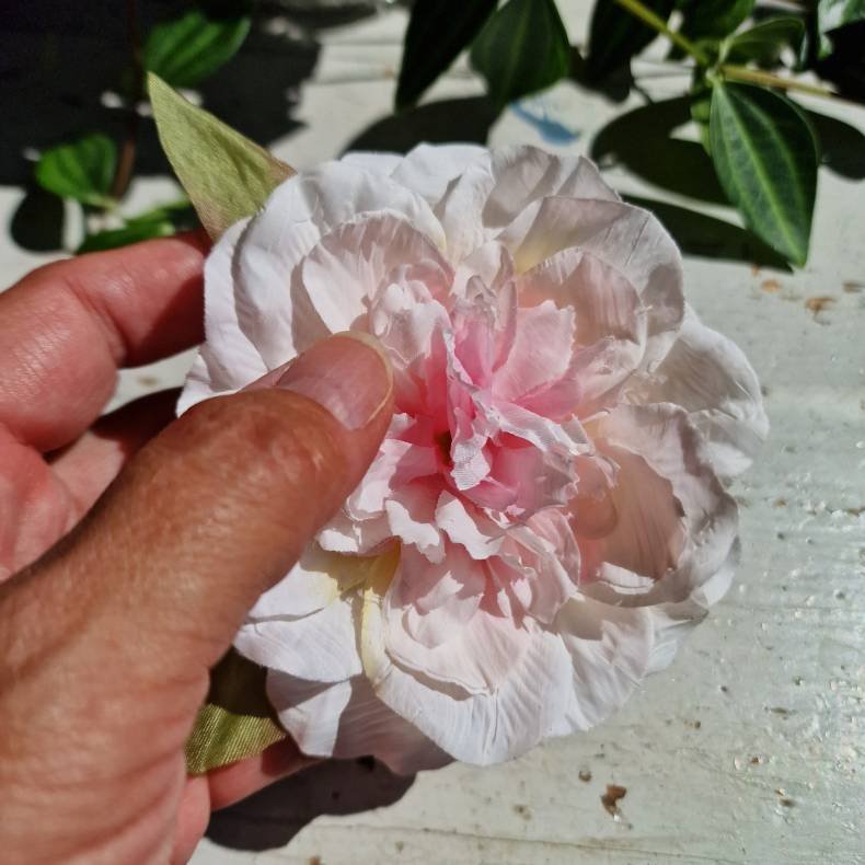 Hvid/pink pon blomster clips M