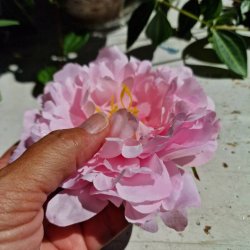 Lyserd pon blomster pynt S