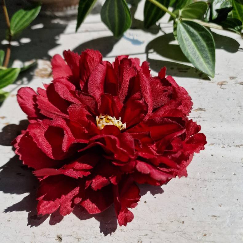 Bordeaux peony blomster pynt S