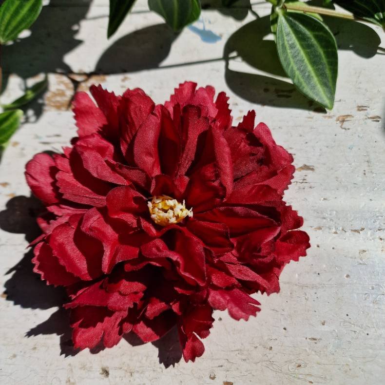 Bordeaux peony blomster pynt S