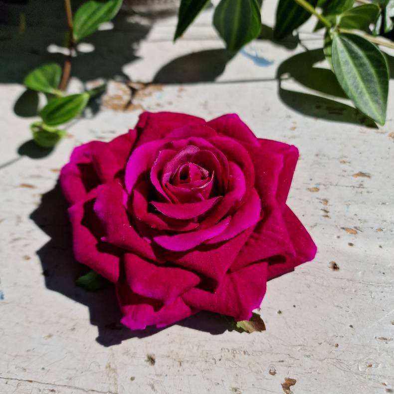 Pink rose, billede snyder