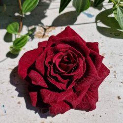 Bordeaux rose blomster pynt S