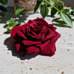 Bordeaux rose blomster pynt S