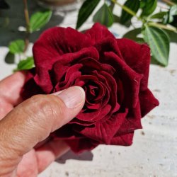 Bordeaux rose blomster pynt S