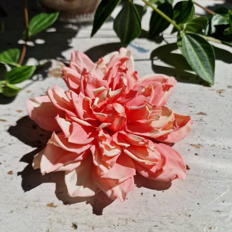 Rosa/fersken georgine blomster pynt S