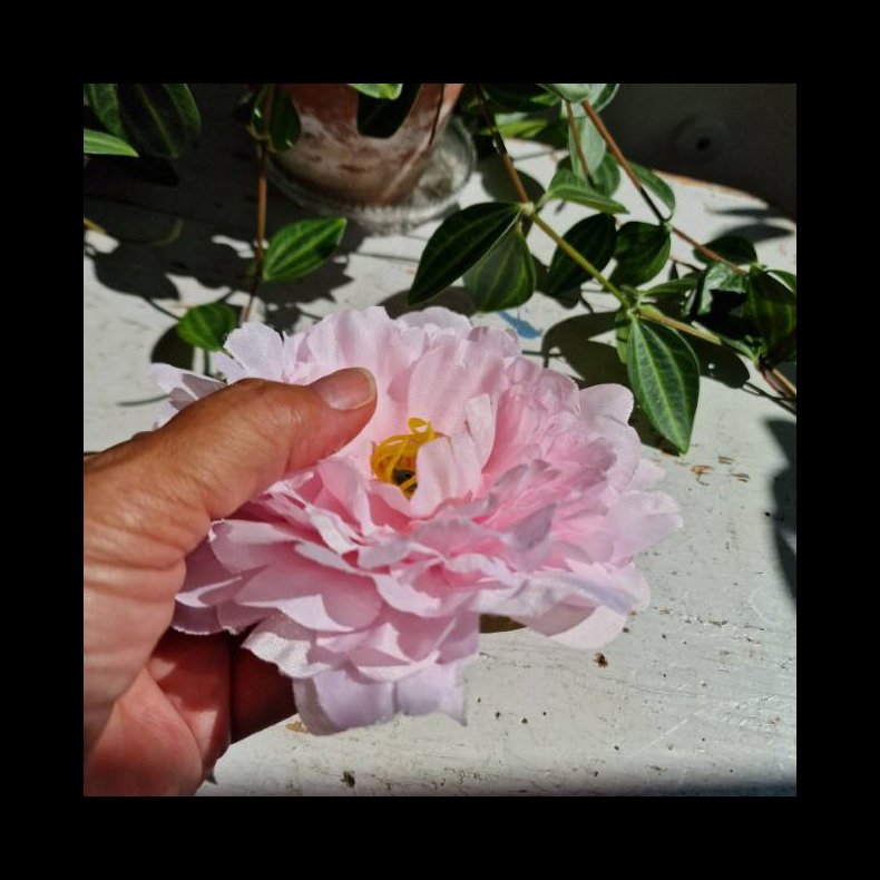 Rosa Sart fyldig pon blomster pynt S