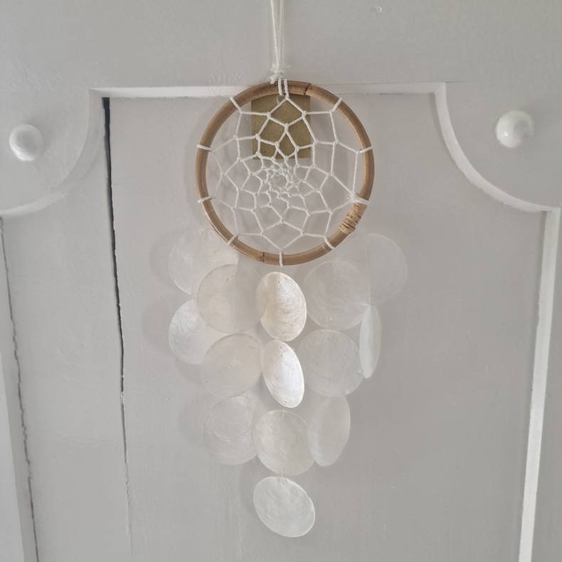 Drmmefanger lille rund med smukke skaller og vindspils effekt