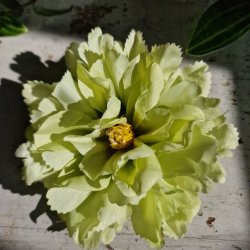 Grn peony blomster pynt S