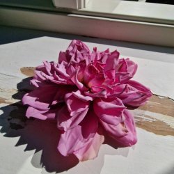 Lilla georgine blomster pynt S