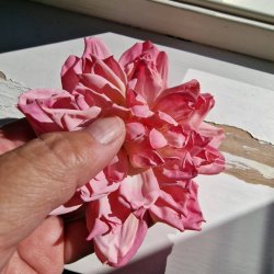 Pink/rosa georgine blomster pynt S