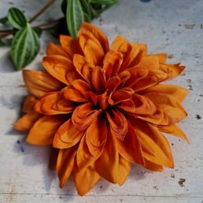 Orange mandarin georgine blomster pynt S