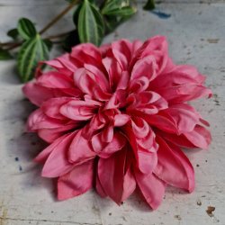 Pink georgine blomster pynt S