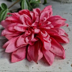 Pink georgine blomster pynt S