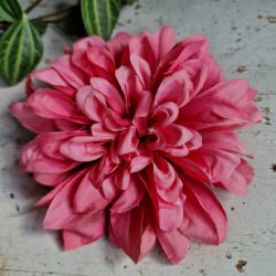 Pink georgine blomster pynt S