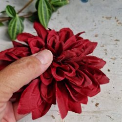 Mrkrd karmosin georgine blomster pynt S