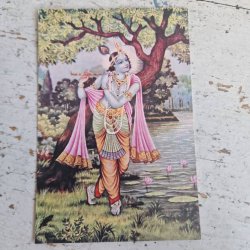 Sri Krishna postkort 