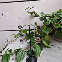 Boheme �reringe lux  bl�/lilla