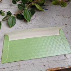 Lysegr�n kuvert med guldtryk