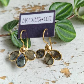 Treenighed Labadorit