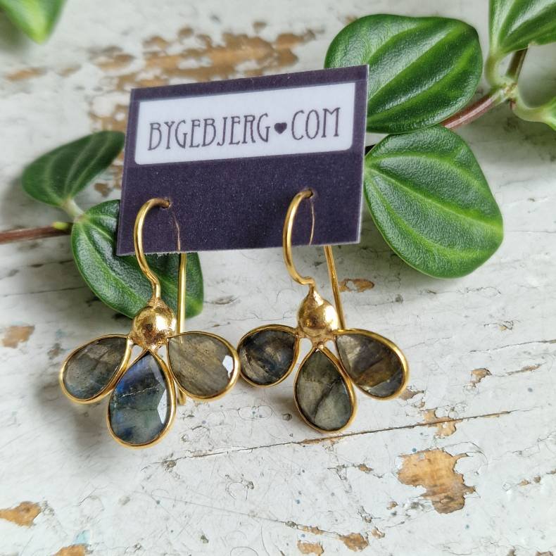 Treenighed Labadorit