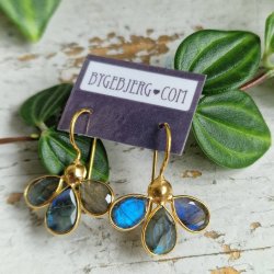 Treenighed Labadorit