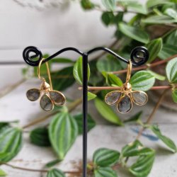 Treenighed Labadorit