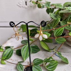 Treenighed m�nesten