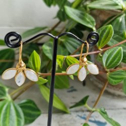 Treenighed m�nesten