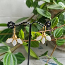 Treenighed m�nesten